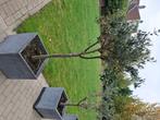 Tuin, Ophalen, Zo goed als nieuw