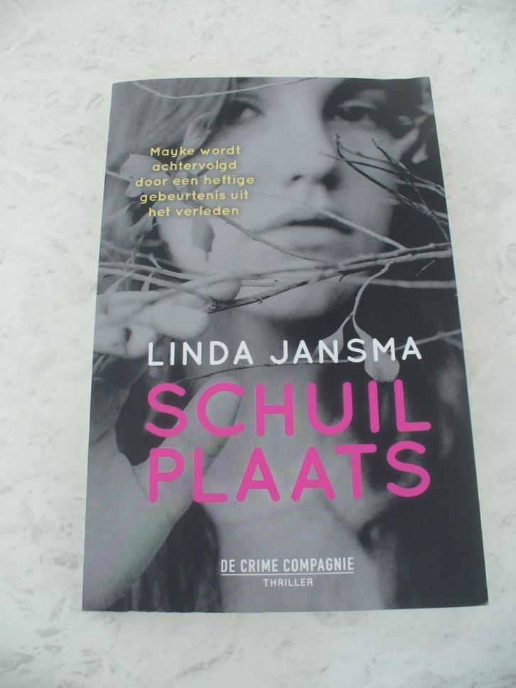 Thriller: “De schaduw van de nacht”, Boeken, Thrillers, Ophalen