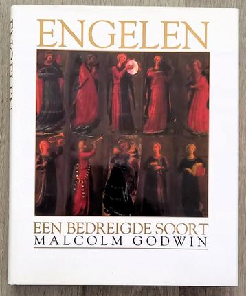 Gevallen Engelen en de hiërarchie der Engelen - Gnostici beschikbaar voor biedingen