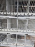 Cage d'élevage, Comme neuf, Enlèvement ou Envoi