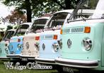 Gezocht oldtimers vw alles aanbieden, Auto's, Particulier, Te koop
