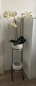 Staander inclusief kunstplant (orchidee), Ophalen