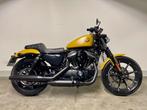 Harley-Davidson SPORTSTER XL883N IRON 32 KW (bj 2019), Motoren, Motoren | Harley-Davidson, 883 cc, Overig, 12 t/m 35 kW