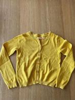 Geel vestje van Someone maat 116, Gebruikt, Meisje, Trui of Vest, Ophalen of Verzenden