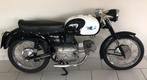 Aermacchi eerste serie gezocht