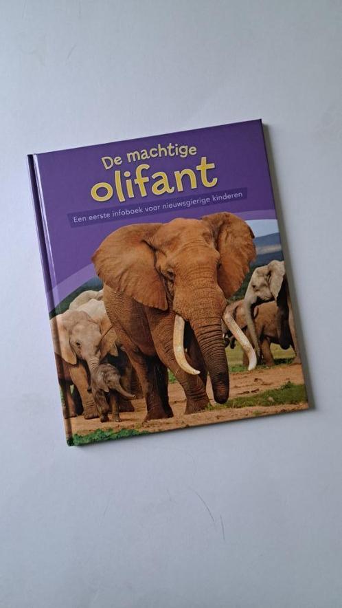 Kinderboek 'De machtige olifant', Boeken, Kinderboeken | Kleuters, Gelezen, Non-fictie, Jongen of Meisje, Ophalen of Verzenden