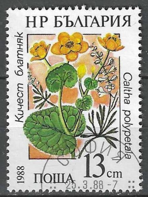 Bulgarije 1988 - Yvert 3142 - Dotterbloem (ST), Timbres & Monnaies, Timbres | Europe | Autre, Affranchi, Bulgarie, Envoi