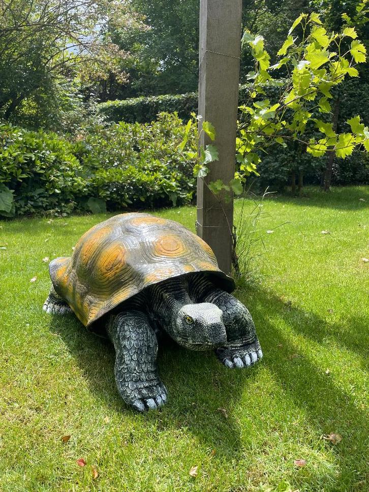 (Tuin)Beeld schildpad, carnaval , tuin, vijver, 100 cm, Jardin & Terrasse, Statues de jardin, Neuf, Animal, Synthétique, Enlèvement