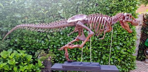 Tyrannosaurus Rex Skelet model, Verzamelen, Mineralen en Fossielen, Overige typen, Ophalen
