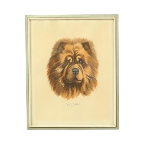 Vintage Ingelijste Kleuren Litho Hond Chow Chow Gesigneerd, Antiek en Kunst, Kunst | Litho's en Zeefdrukken, Ophalen of Verzenden