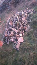 4 paloksen brandhout. Beuk. Hardhout, Tuin en Terras, Brandhout, 3 tot 6 m³, Ophalen, Overige houtsoorten, Blokken