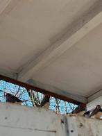 2 mannetjes zebravinken geringt en nog 3 koppels