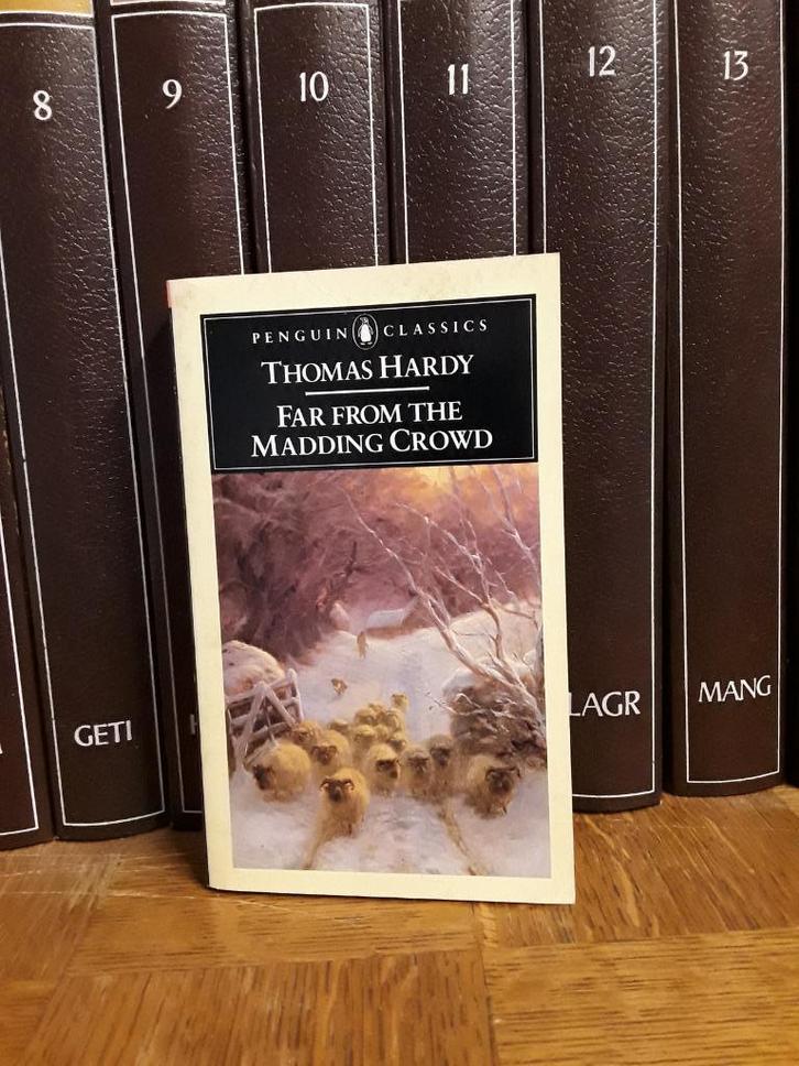 Pakket Thomas Hardy, Boeken, Literatuur, Zo goed als nieuw, België, Ophalen of Verzenden