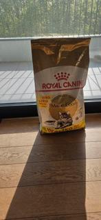 Royal canin maine coon adult 10+2 kg, Animaux & Accessoires, Nourriture pour Animaux, Enlèvement ou Envoi