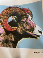 Litho andy warhol, Antiek en Kunst, Ophalen of Verzenden