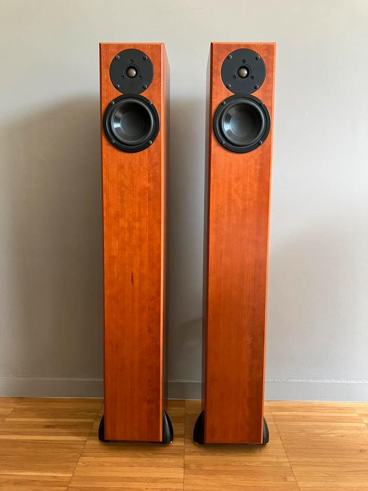 Totem Arro, Audio, Tv en Foto, Luidsprekerboxen, Gebruikt, Front, Rear of Stereo speakers, Overige merken, Ophalen