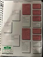 Zware fond  duivin  gebr. Brügemann, Animaux & Accessoires, Oiseaux | Pigeons, Femelle, Pigeon voyageur