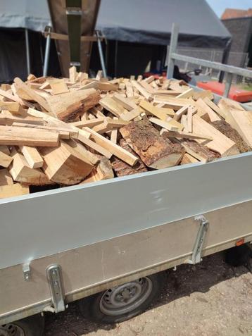BRANDHOUT EIK '' ACTIE'' LEVERING PER STERE OF PER M3, Enlèvement ou Envoi, Chêne, Bûches