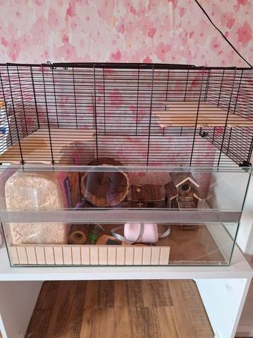 Glazen hamsterkooi met toebehoren., Dieren en Toebehoren, Ophalen, Zo goed als nieuw, Hamster