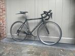 Colnago racefiets / koersfiets maat 51,5, Fietsen en Brommers, Ophalen, Gebruikt, Aluminium