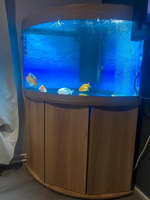 Juwel Trigon 190 + Helialux Smart Control, Dieren en Toebehoren, Vissen | Aquaria en Toebehoren, Zo goed als nieuw, Leeg aquarium