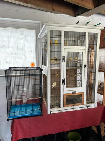 2 vogelkooien + 14 kanaries en toebehoren beschikbaar voor biedingen