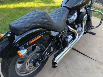 Harley-Davidson Softail beschikbaar voor biedingen