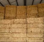 Tarwe stro, Dieren en Toebehoren, Dierenvoeding, Ophalen