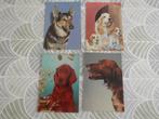 LOT van 45 postkaarten - Thema Honden, Verzamelen, Postkaarten | Themakaarten, Gelopen, Overige thema's, Ophalen of Verzenden