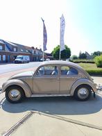 Vw kever ovaal 1956 in uitmuntende staat, Auto's, Volkswagen, 4 zetels, 4 cilinders, Beige, Bedrijf