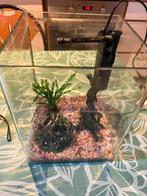 Aquarium+ toebehoren, Dieren en Toebehoren, Ophalen, Gebruikt, Leeg aquarium