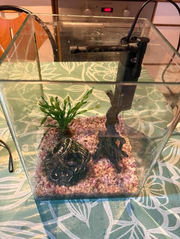 Aquarium+ toebehoren, Enlèvement, Utilisé, Aquarium vide