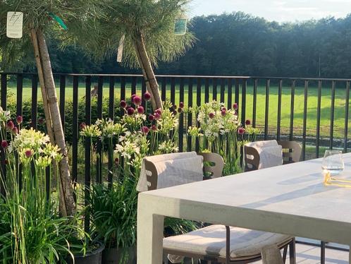 terrastafel beton MERK= NET ECHT NIEUWPRIJS = € 3.950,-, Tuin en Terras, Tuintafels, Zo goed als nieuw, Rechthoekig, Overige materialen