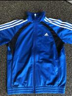 Trainingsvest Adidas, Blauw, Ophalen of Verzenden, Zo goed als nieuw, Adidas