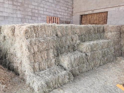 Hooi en stro kleine pakken stofvrij ideaal voor paarden, Dieren en Toebehoren, Dierenvoeding, Ophalen