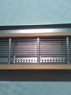 bijen zwermval, Dieren en Toebehoren, Insecten en Spinnen, Bijen