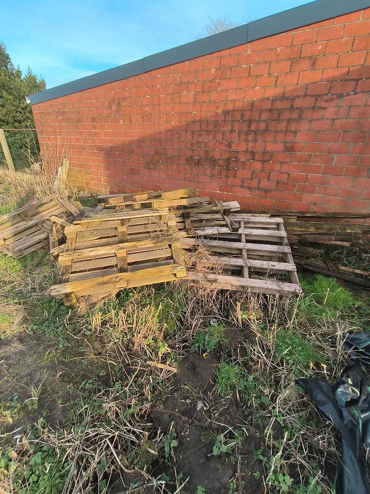 Brandhout, Tuin en Terras, Brandhout, Blokken, Overige houtsoorten, Minder dan 3 m³, Ophalen