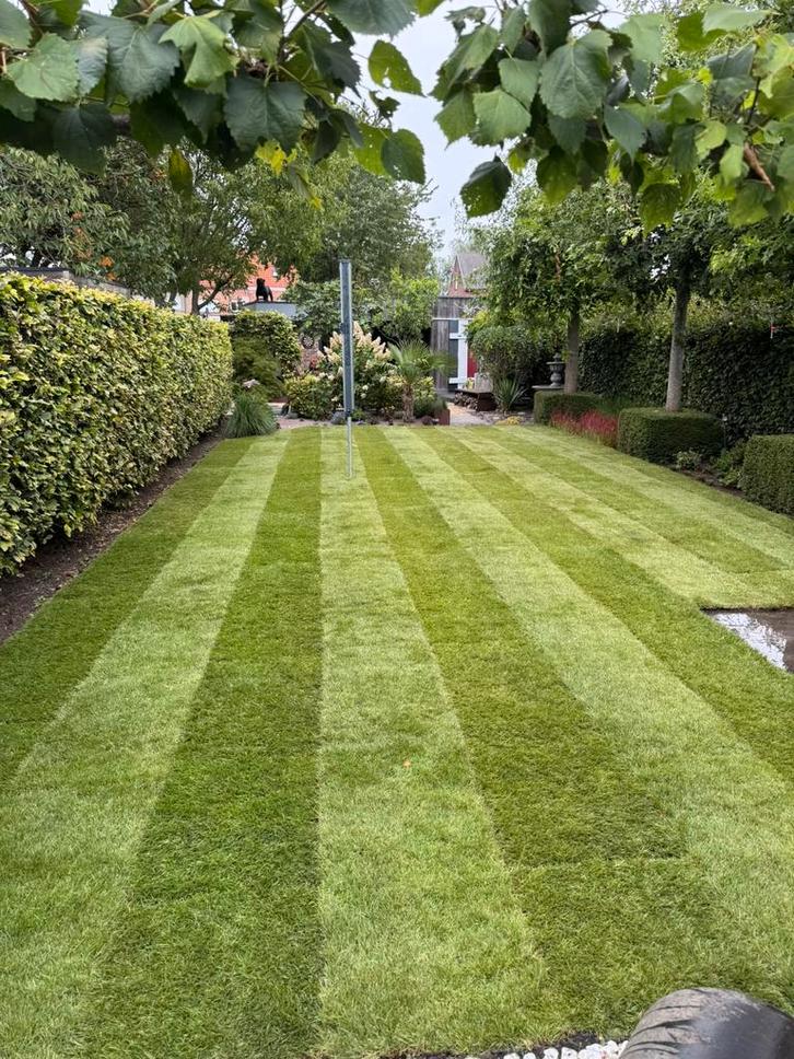 Tuinman, kleine grondwerken, schuttingen, klinkerwerken, Services & Professionnels, Jardiniers & Paveurs, Trottoir, Grillage ou Palissade