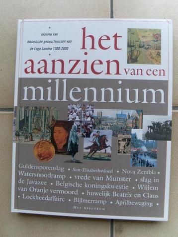 Het aanzien van een millennium beschikbaar voor biedingen