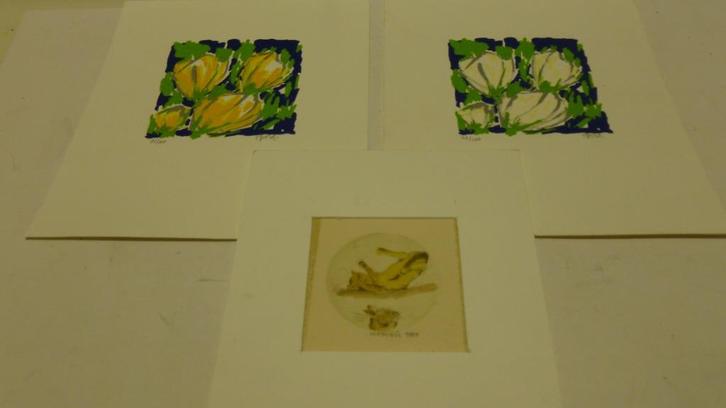 3 zeefdrukken,2 zijn van Ad van Hassel,genummerd en gesign., Antiek en Kunst, Kunst | Litho's en Zeefdrukken, Ophalen of Verzenden