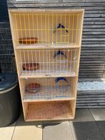 Kweekkooi, Dieren en Toebehoren, Ophalen, Zo goed als nieuw, Hout, Broedkooi of Kweekkooi