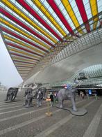 Piepschuim olifanten, Ophalen