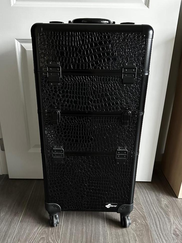 Professionele 2-in-1 trolley, Diversen, Overige Diversen, Zo goed als nieuw, Ophalen