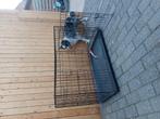 Hondenhok , bench , hondenbench XL, Ophalen, 65 tot 100 cm, Hondenhok, 110 cm of meer