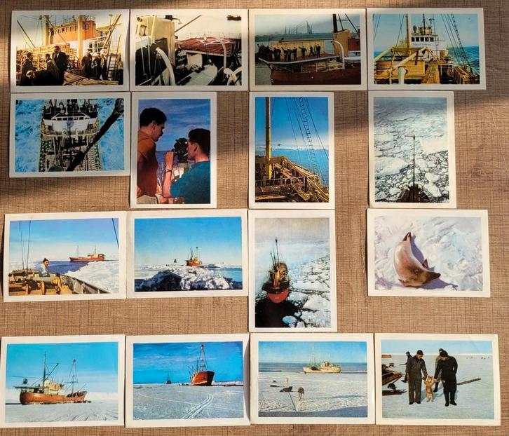 60 oude prenten: Côte d'Or reeks Antarctic, Verzamelen, Foto's en Prenten, Gebruikt, Prent, Natuur, Ophalen of Verzenden