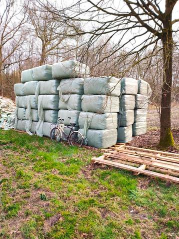 Hooi Balen  beschikbaar voor biedingen