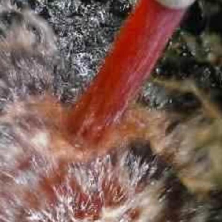 Rooie rode mazout diesel stookolie, Doe-het-zelf en Bouw, Verwarming en Radiatoren, Ophalen