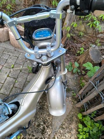 Chally  beschikbaar voor biedingen