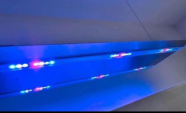 Rampe ATI Sirius X6 récifal, Dieren en Toebehoren, Vissen | Aquaria en Toebehoren, Gebruikt, Verlichting of Verwarming, Ophalen