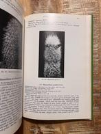Le manuel Mammillaria - Robert T. Craig, Livres, Nature, Enlèvement ou Envoi, Fleurs, Plantes et Arbres, Robert T. Craig, Comme neuf